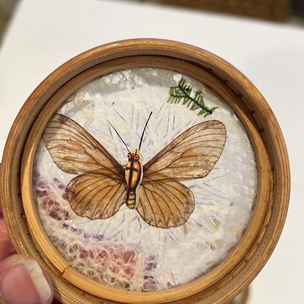 Vintage bamboo pressed butterfly coasters